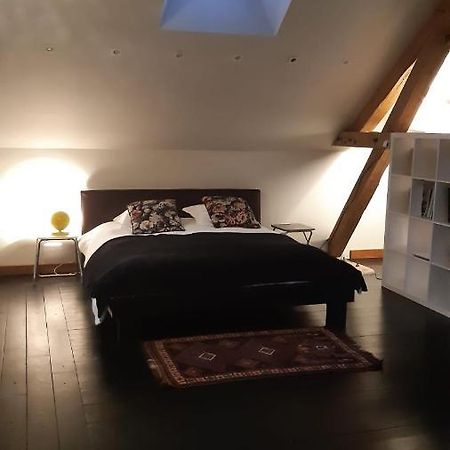 Villa Le Loft Sancergues Exterior foto